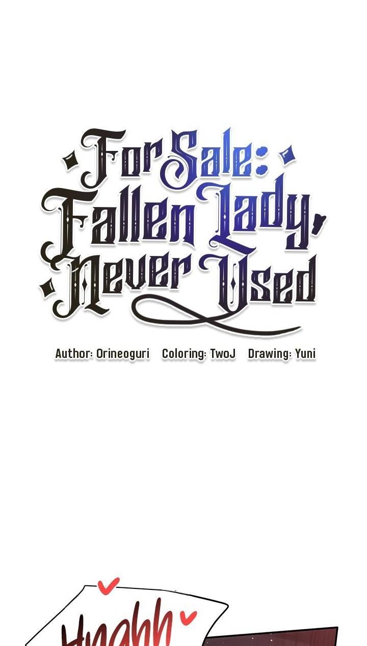 For Sale: Fallen Lady, Never Used - Chapter 40 2